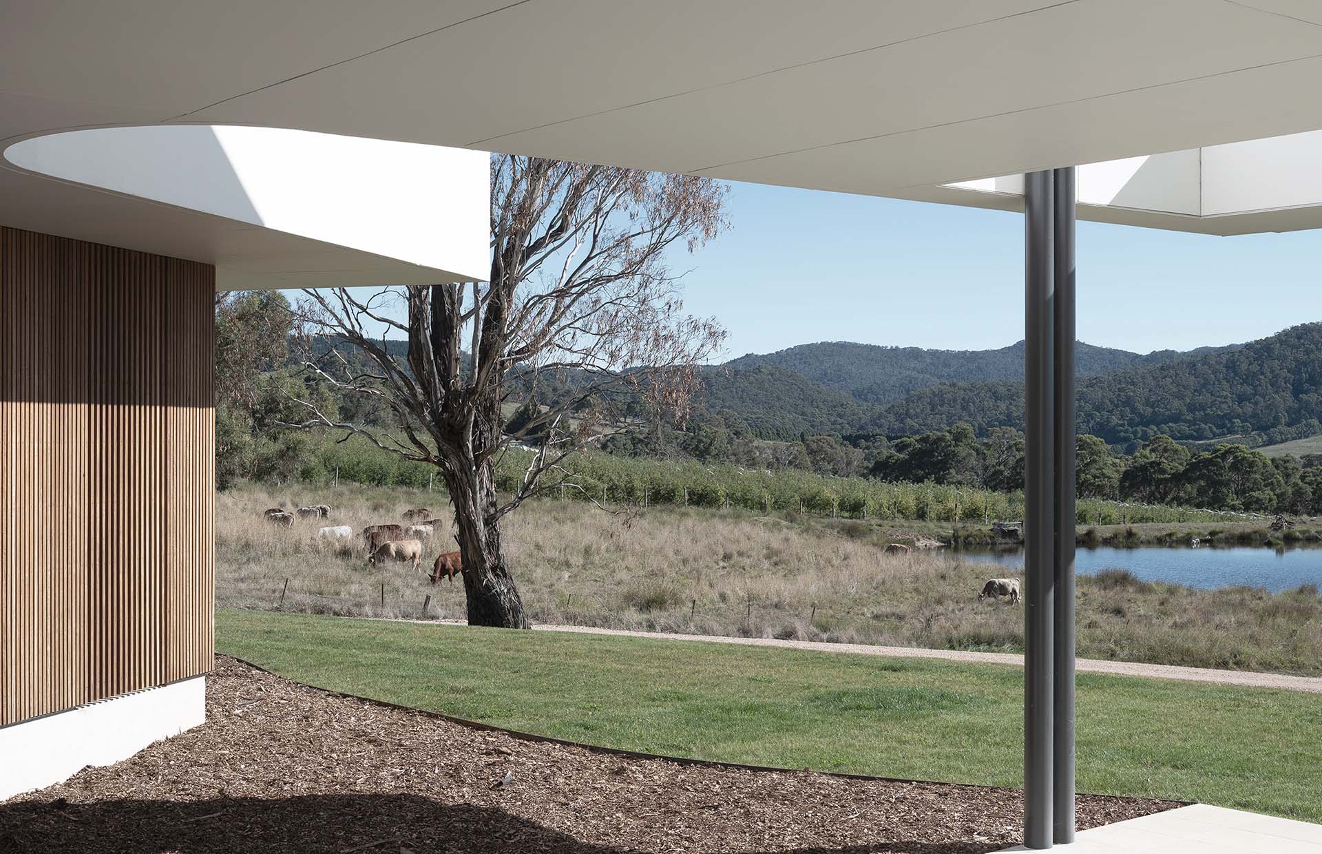 C House by Source Architects, architectural photograph 4